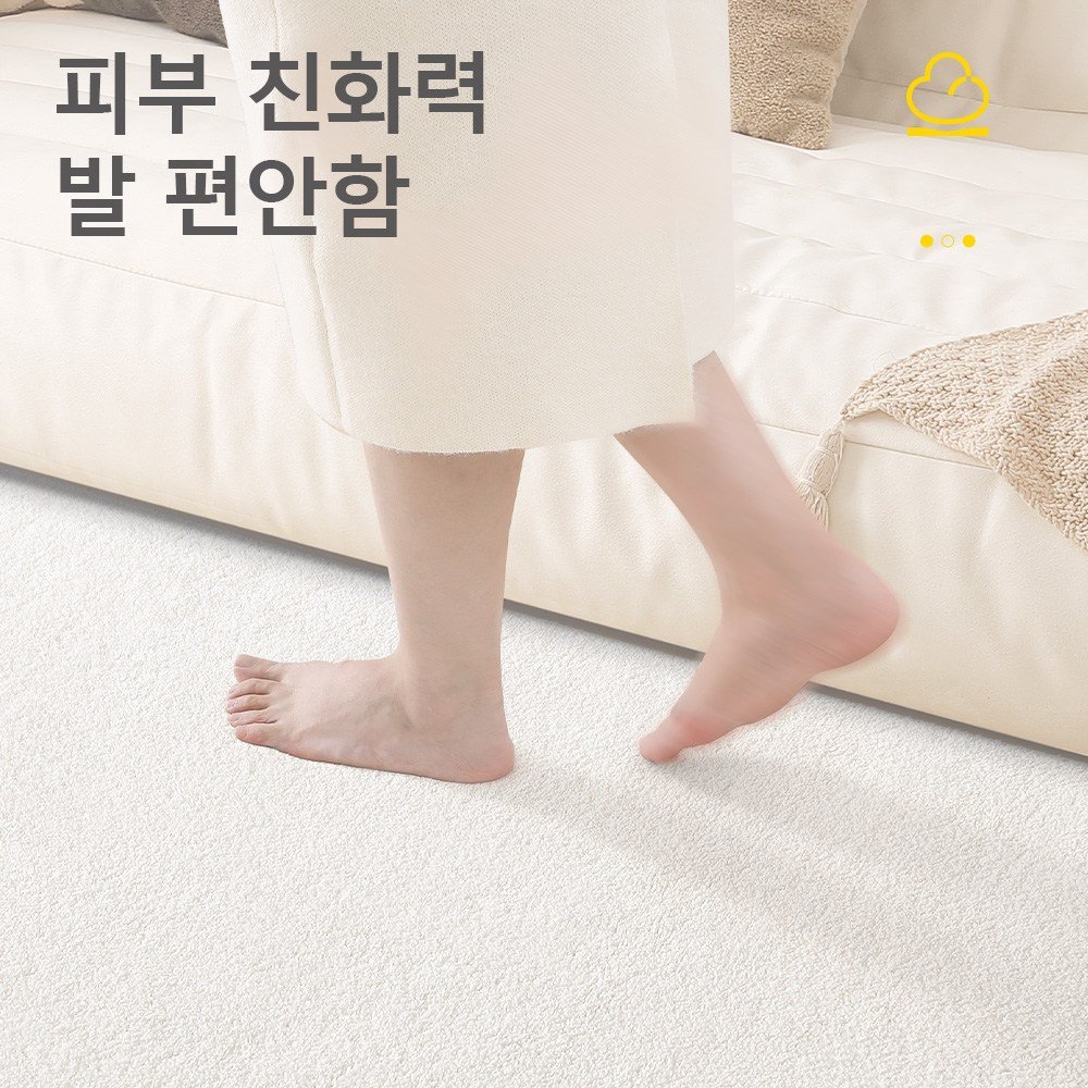 DEXI 거실 카페트 침실러그 먼지없고 미끄럼방지 카페트 물세탁 카페트 거실 매트 침실 매트 고급 사계절 미끄럼방지 러그할인 상세 이미지 1