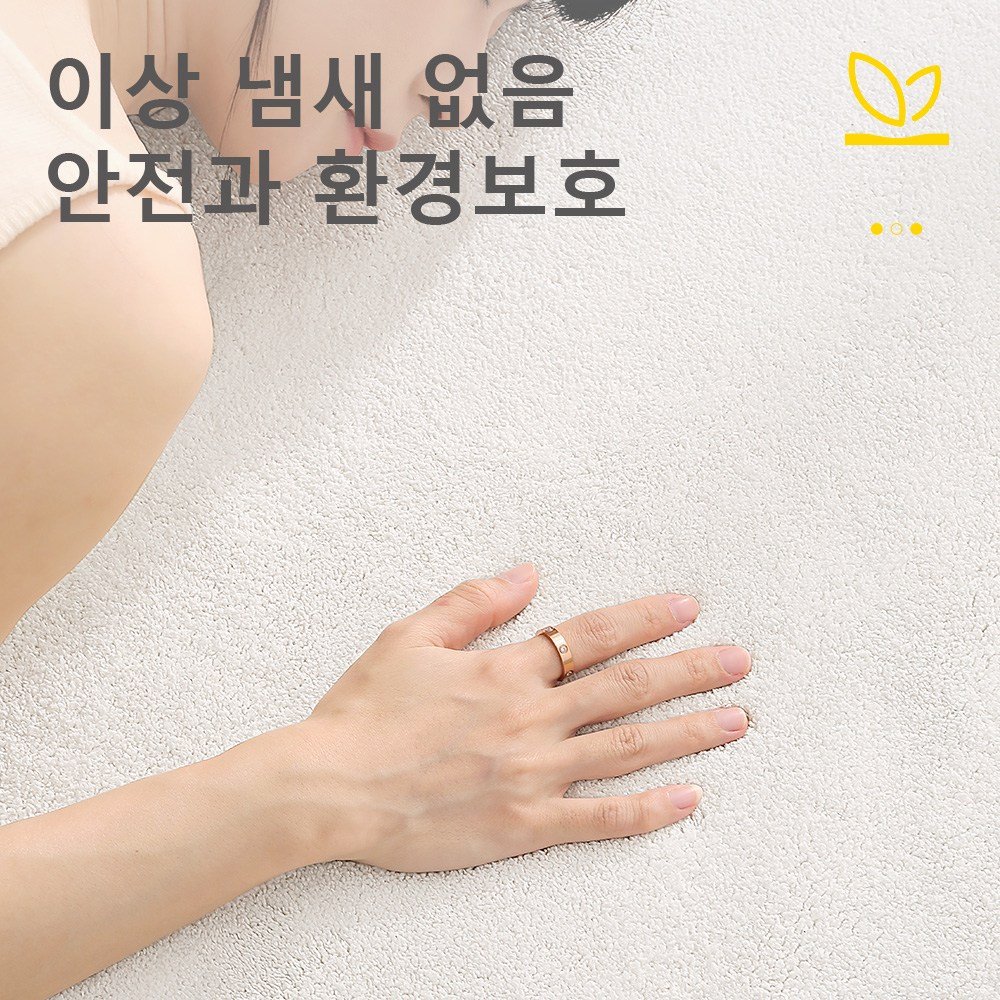 DEXI 거실 카페트 침실러그 먼지없고 미끄럼방지 카페트 물세탁 카페트 거실 매트 침실 매트 고급 사계절 미끄럼방지 러그할인 상세 이미지 2