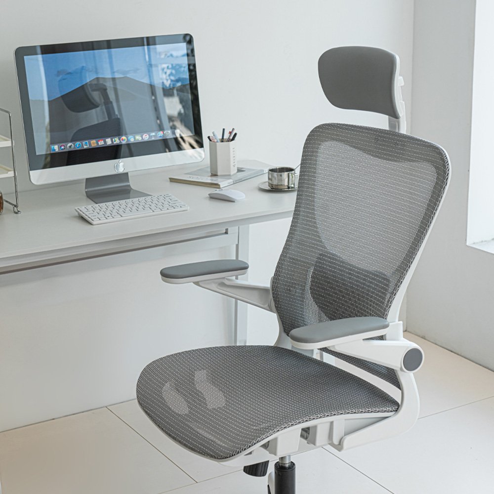 HOMEY NEST 메쉬 사무실 사무용의자 3D팔걸이 틸팅가능 요추 허리보호 체어 HN-OC107, 화이트할인 상세 이미지 2